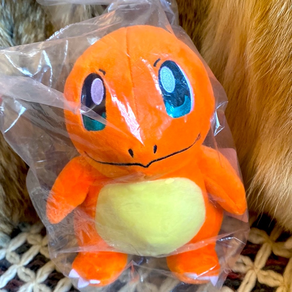 Pokémon Stuffy